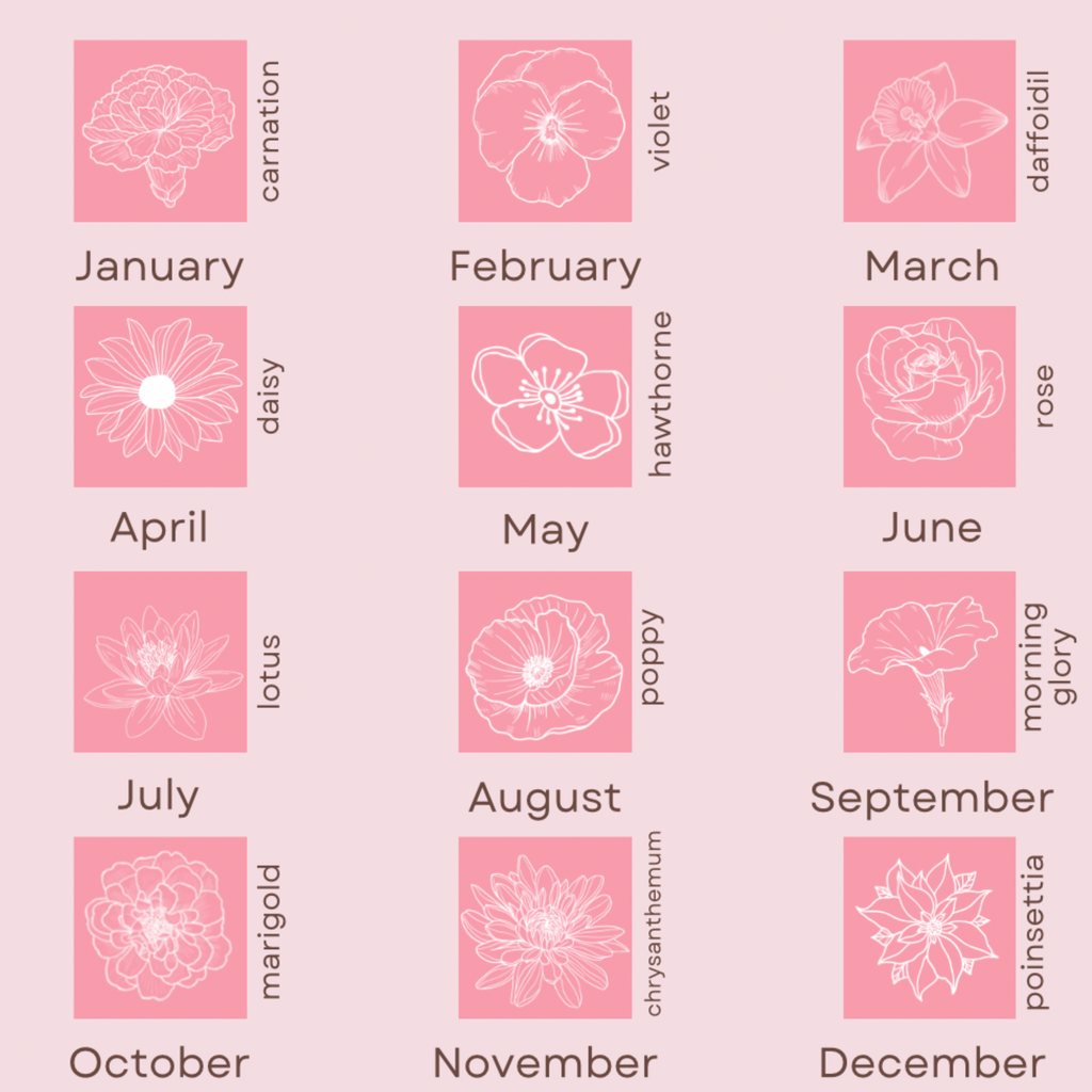Floral chart with months and flowers on a pink background