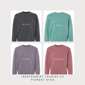 Four sweatshirts in black, mint, plum, and maroon with color names on a light gray background.